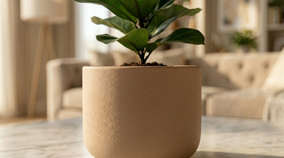 PLANTERS