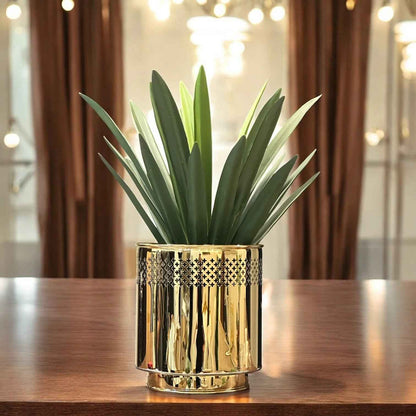 PREMIUM STELLAR PLANTER