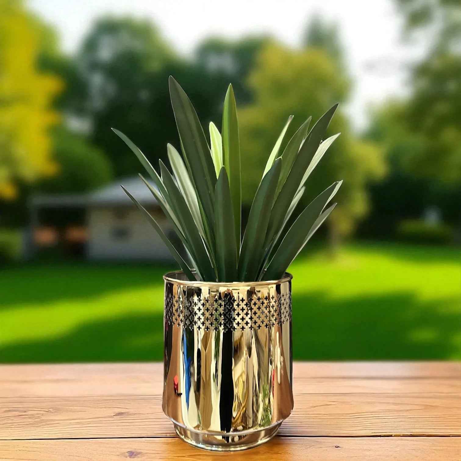 PREMIUM STELLAR PLANTER