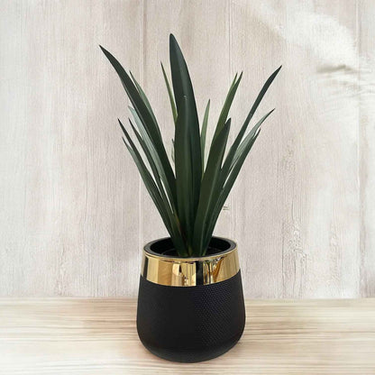 REALISTIC ARTIFICIAL DESERT PLANT